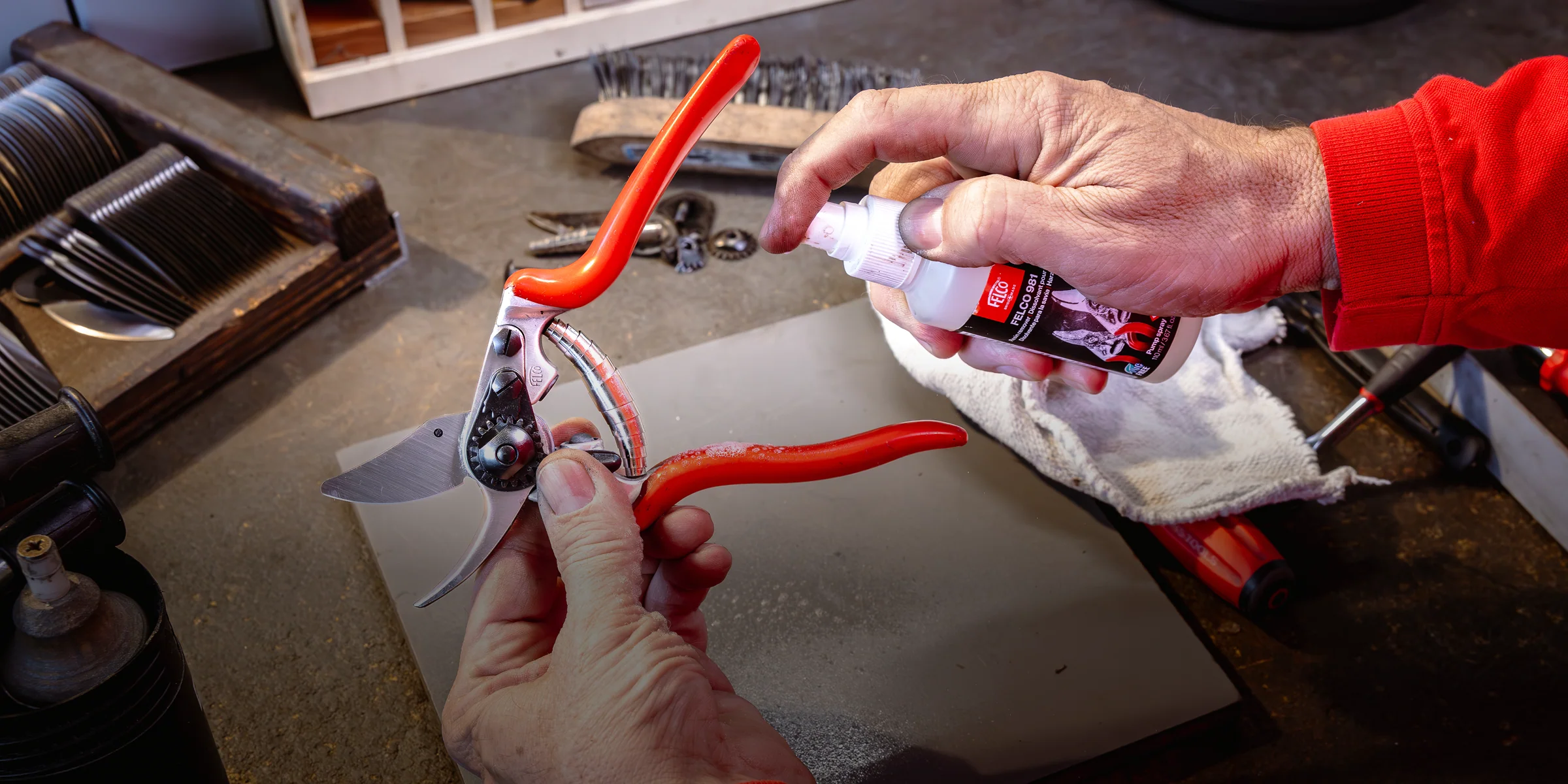 Swiss Precision in Every Cut